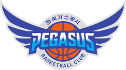 大邱石油公社飞马